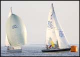 D_DSC0043a