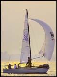 _DSC0167a