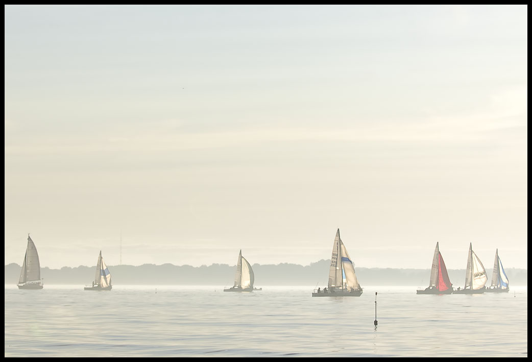 A_DSC0073a