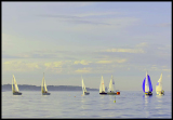 A_DSC0107a
