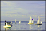A_DSC0130a