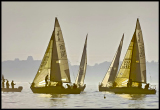 A_DSC0176a