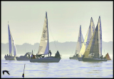 B_DSC0013a