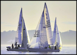B_DSC0029a