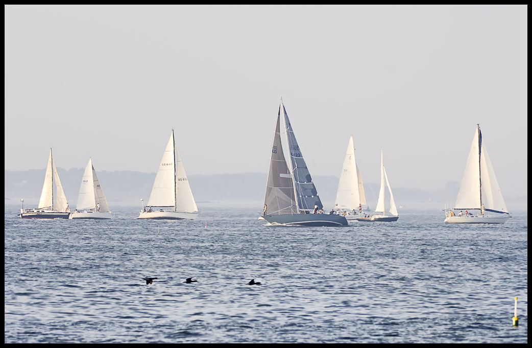 A_DSC0116a