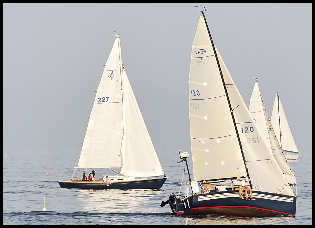 B_DSC0041a