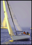 A_DSC0177a