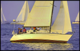 A_DSC0180a