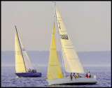 B_DSC0047a