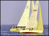 B_DSC0066a