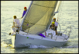 B_DSC0094a