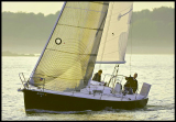 B_DSC0096a