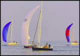C_DSC0036a