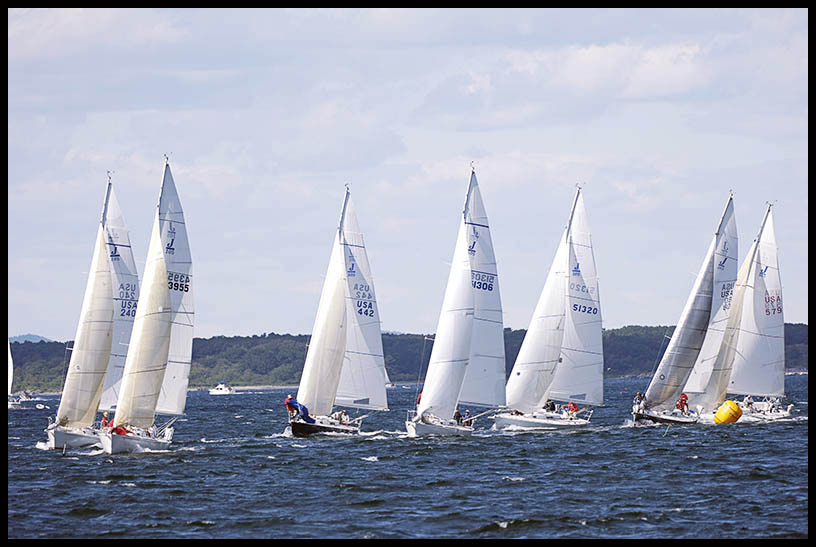 _DSC1302