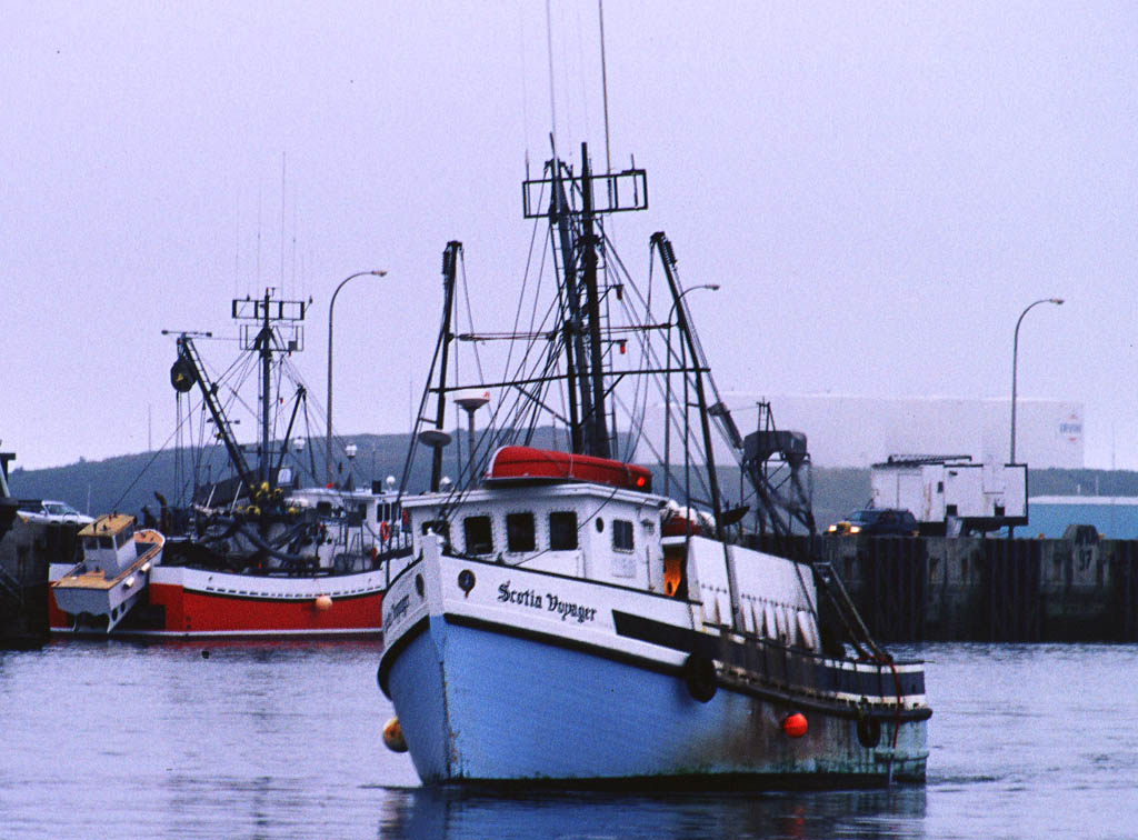 2764-31a