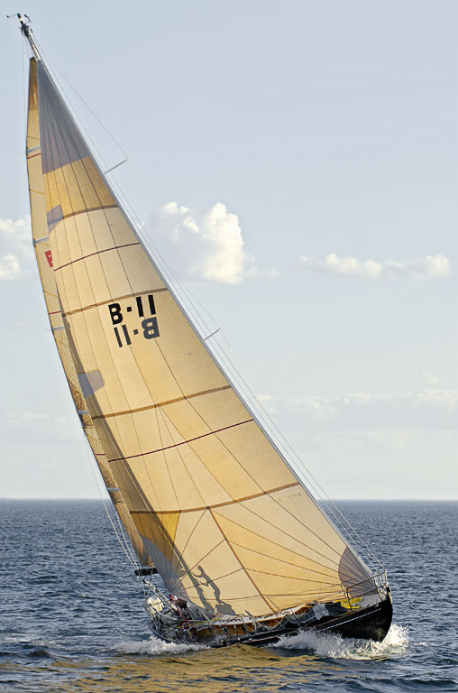 _DSC0129a-1024