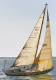 _DSC0119a-1024