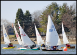 _DSC0006a