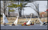 _DSC0009a